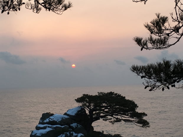 워크샵 빙자(?)한 동해안 나들이, 일박이일