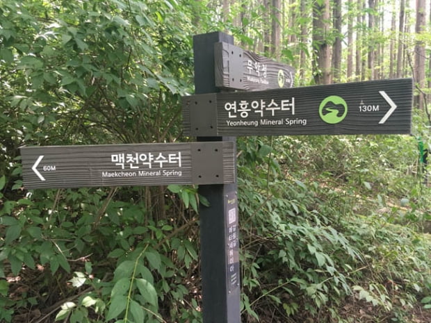 도심 속, 백련산-안산-인왕산을 걷다