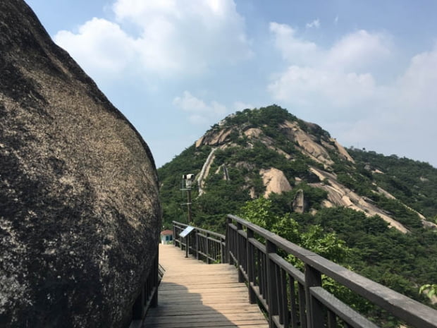 도심 속, 백련산-안산-인왕산을 걷다