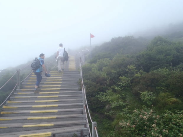 빗속, 한라산의 너른 품에