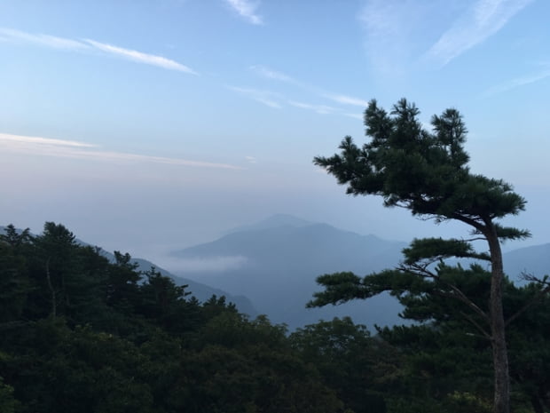 하해와 같은 지리산의 품에 또다시...(上)