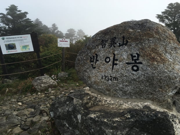 하해와 같은 지리산의 품에 또다시...(上)