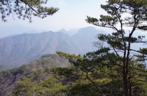 산이름과 달리 까칠한, 괴산 君子山