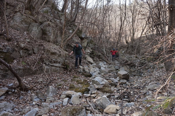 산이름과 달리 까칠한, 괴산 君子山