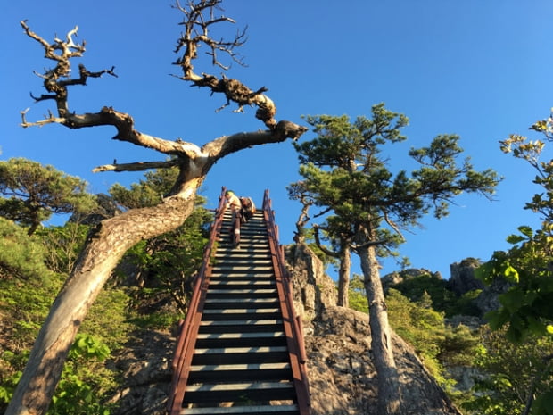 가야산 칠불봉 그리고 우두봉의 너른 품에...