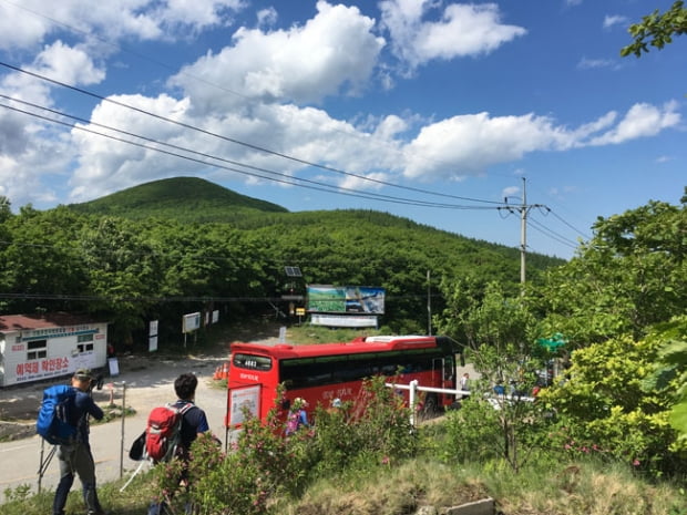 눈 시린 파란 하늘, 함백산의 속살