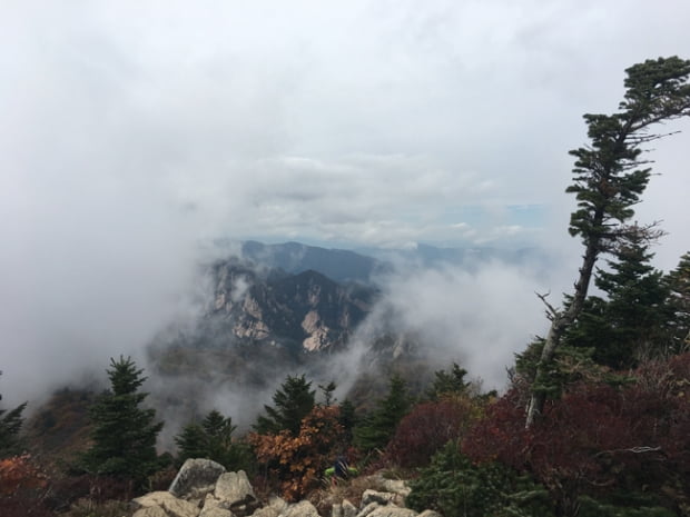 만산홍엽, 설악산에 취하다.<上>