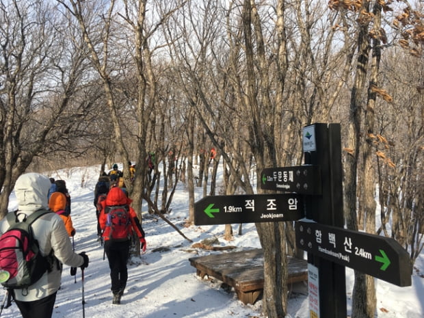 순백의 함백산 올라 동장군을 영접하다