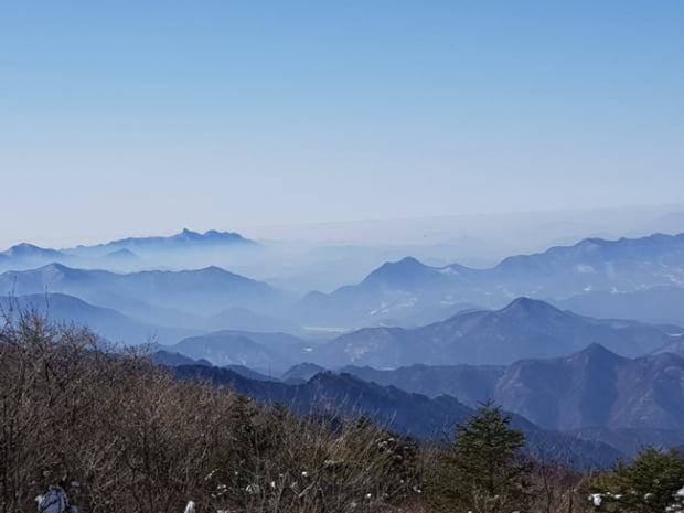 은빛능선이 그리워 겨울 小白의 너른 품에...