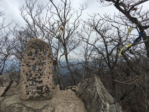 봄기운 움트는 상주 청화산을 걷다