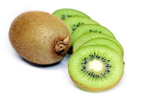 매혹적인 와인페스티벌과 키위(KIWI)