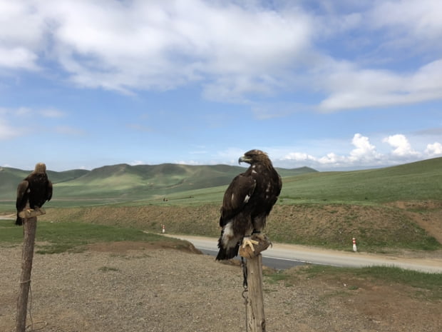 몽골 트레킹 제2신, 몽골 고원 초지를 걷다