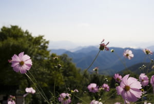 직장인에게 산악회를 소개합니다.