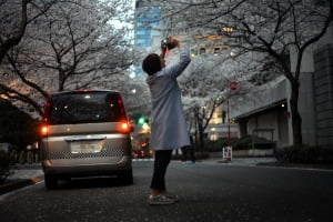 코로나풍경-화려하지만 활기 없는 도쿄 벚꽃 과 야경.