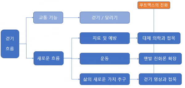 [홍재화의 무역인문학] 걷기의 새로운 흐름과 신발 장사의 전략