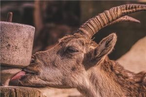 [김상원작가의 천연산물] 약을 장복하면 몸속 주요 영양소가 고갈된다