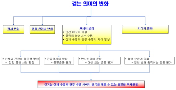 [홍재화의 걷기인문학] 걷기의 재해석 (5) 인간의 유일한 육체활동이 될 걷기