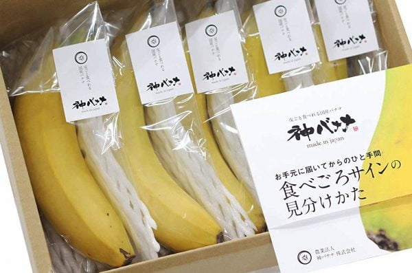 [JAPAN NOW] 중독성 강한 1개 8천원 바나나
