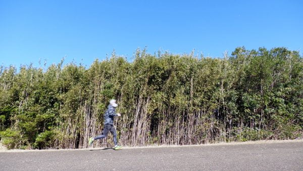 [JAPAN NOW] 카사이 린카이 공원, 도쿄의 휴일을 느낄 수 있는 곳