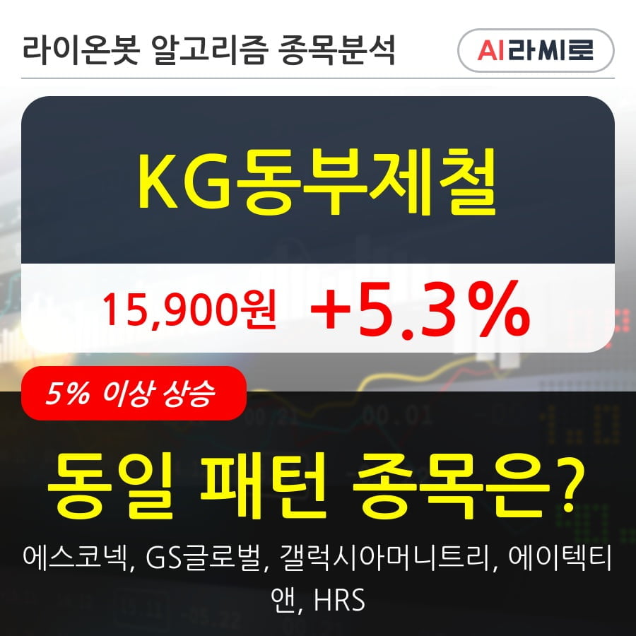 KG동부제철