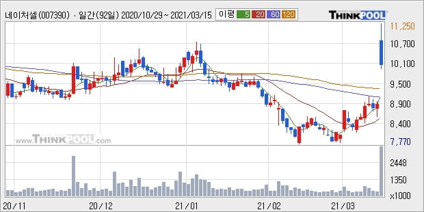 네이처셀, 상승흐름 전일대비 +15.73%... 이 시각 370만9639주 거래