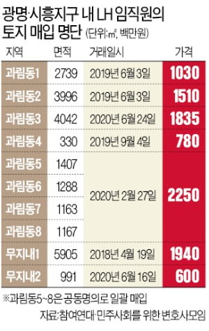 1년여간 집중 매입…보상 더 받으려 나무 심고, 지분 쪼개기