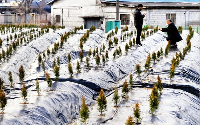 "100억원대 땅투기, 재발 방지하겠다"…LH, 대국민사과문 발표