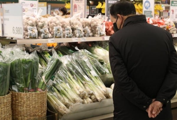 서울 시내 대형마트에서 소비자가 채소 판매대를 둘러보고 있다/사진=연합뉴스