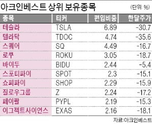 '캐시의 마법' 풀렸나…아크 ETF 한달새 24% 급락