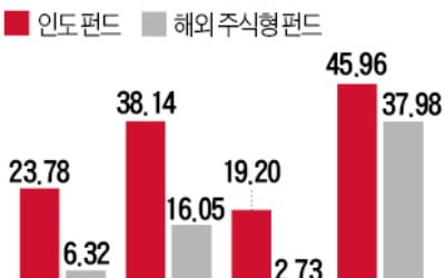 달러 강세에 흔들리는 신흥국?…인도펀드는 올 수익률 19% '독주'