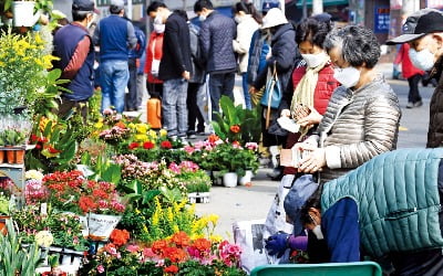  봄이 왔어요…꽃시장 '북적'