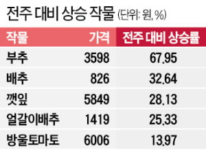 수입 늘어…대파값 2주새 5천원 → 3천원