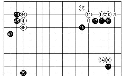 [제25기 하림배 프로여자국수전] 팽팽한 포석