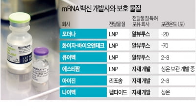 "mRNA 지켜라"…바이오업계 '보호막' 기술전쟁