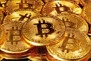 Morgan Stanley Bitcoin Fund Panda |  Hankyung.com