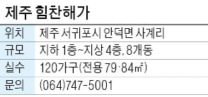 제주 힘찬해가, 제주 산방산 자락…탁트인 바다 전망