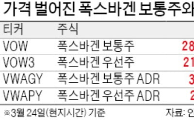 "폭스바겐, 비싼 보통주 말고 우선주 사라"