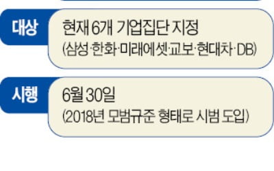 삼성·현대차 등 6개 그룹 금융 계열사 관리감독 강화