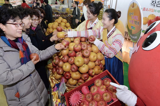 농협은 20일 서울 하나로클럽 양재점에서 사과 배 등 중소과일을 시중가 대비 10% 할인 판매하는 소비 촉진 캠페인을 벌였다.
강은구기자 egkang@hankyung.com
2014.1.20    