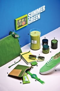 [Shopping List] SUMMER GREEN