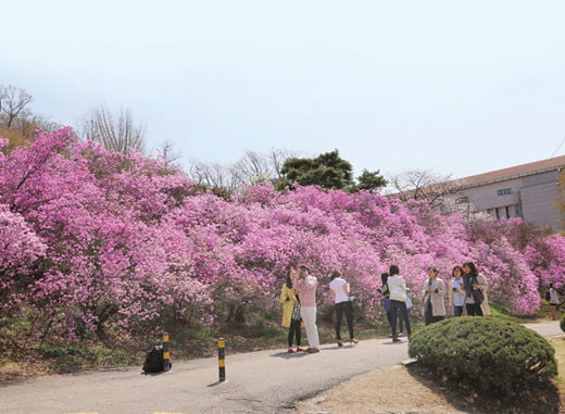 [캠퍼스 나들이] 아름답기로 소문난 캠퍼스 5 in seoul