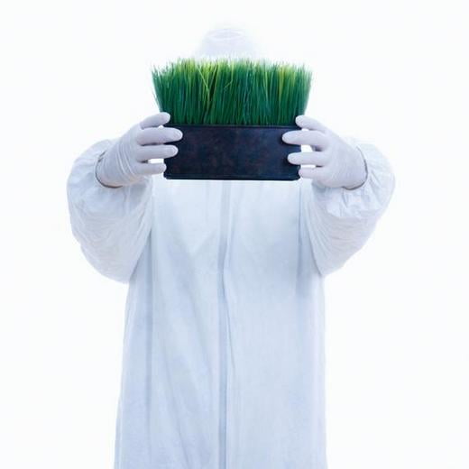 Man in biohazard suit holding pot of grass in front of face standing against white background.