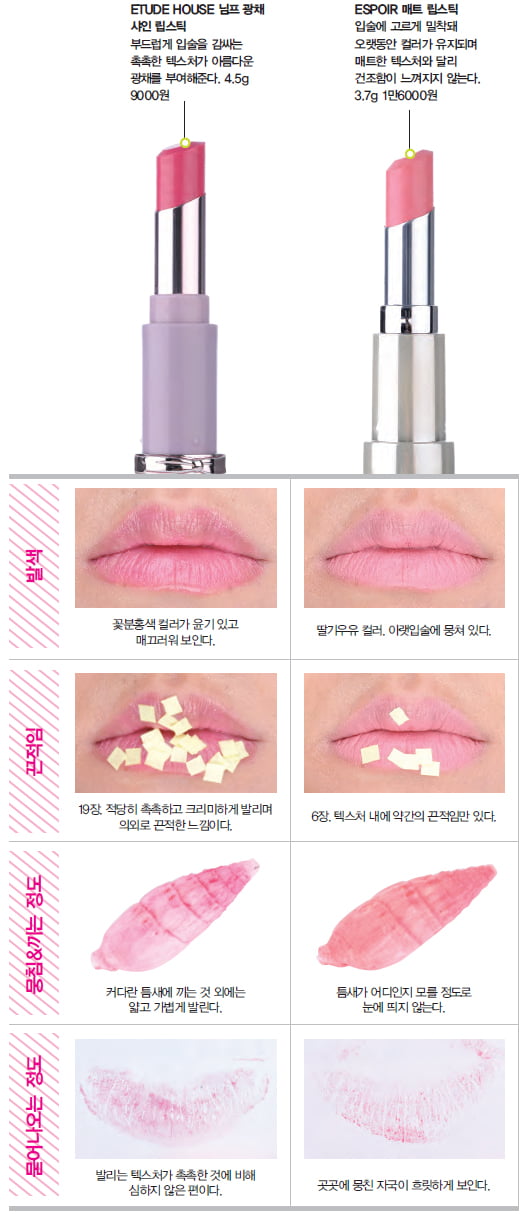 [Beauty Lab_립스틱] 가을을 닮은 립 컬러가 ‘정답’