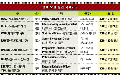 [해외 취업 길라잡이] 세계 평화를 열망한다면? 국제기구로 가자!