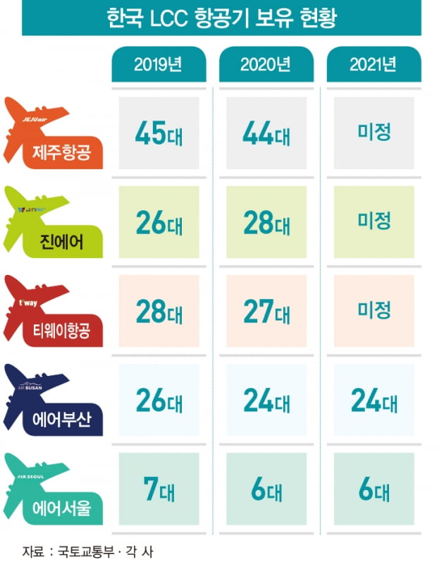 ‘날지 못하는 새’가 된 LCC…올해는 어떻게 버틸까