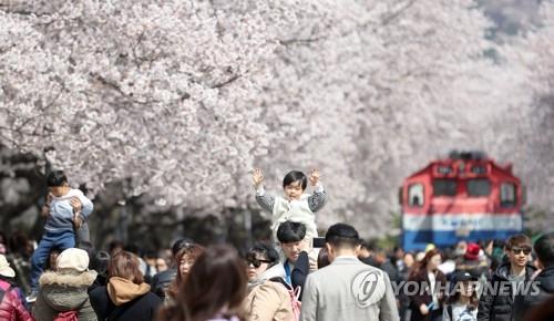 야속한 코로나19…전국 최대 봄꽃축제 진해군항제 올해도 취소