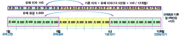 [Q&A] 코로나 대출연장 종료시 상환방법·기간 소비자가 선택