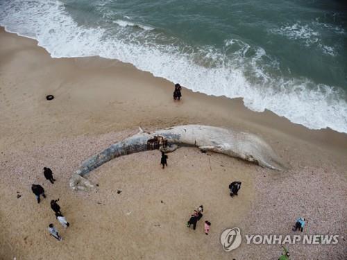 "환경 테러다"…이스라엘, 최악의 기름유출 배후로 이란 지목