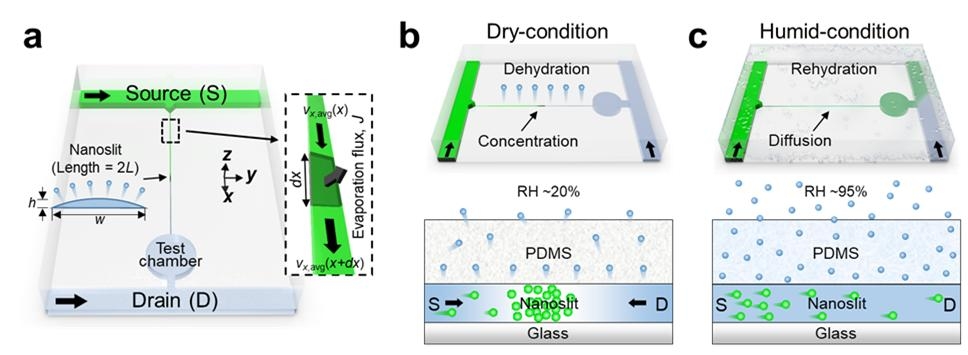 증발 현상으로 물질 흐름 제어하는 미세유체 칩 기술 개발