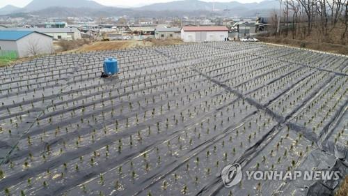 "혹시 우리도?"…직원들 개발지 투기 조사 나선 지자체들